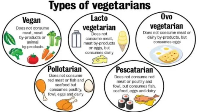 How Many Types Of Veganism Are There?: