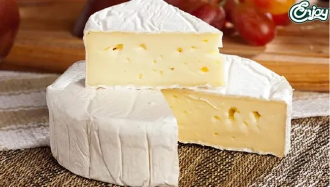 Tips for Keeping Cheese Out of Refrigeration