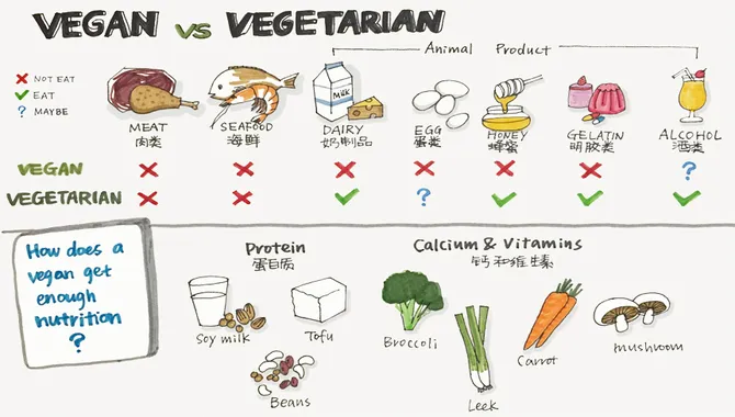 What Is The Difference Between Vegetarian And Vegan Diets