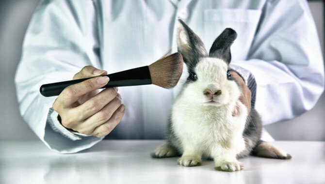 Are Chanel Products Tested On Animals