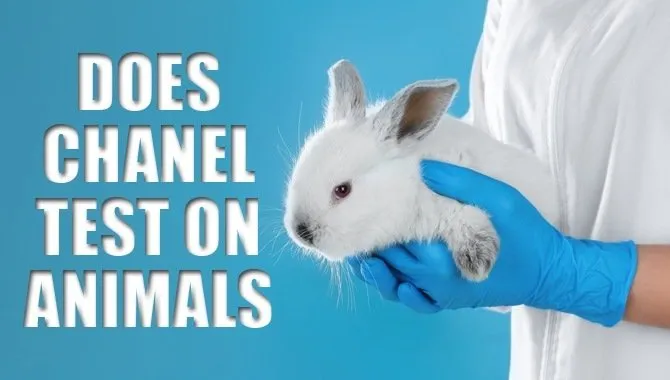 Does Chanel Test On Animals.