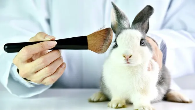 What Is The Definition Of Cruelty-Free