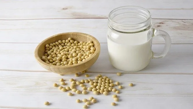 Soy Milk Contains Phytoestrogens