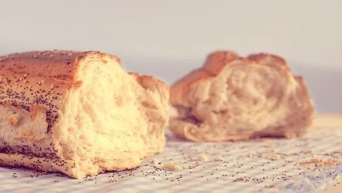 10 Surprising Yeast Facts You Need To Know