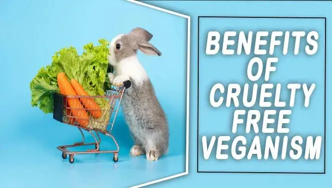 Benefits Of Cruelty-Free Veganism