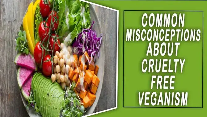 Common Misconceptions About Cruelty-Free Veganism