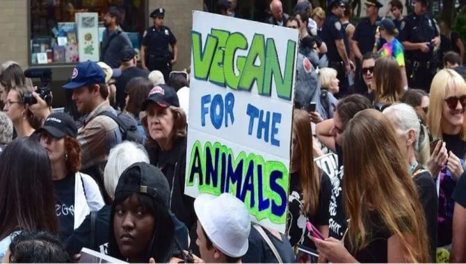 Exploring The Impact Of Veganism And Animal Rights Activism