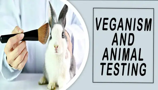 Exploring Veganism And Animal Testing
