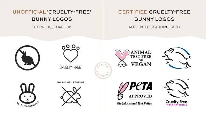 How To Identify Cruelty-Free Vegan Clothing Brands