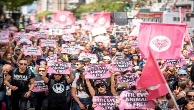 The Impact Of Animal Rights Activism On The Vegan Movement