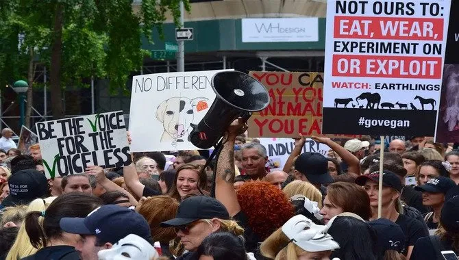Tips For Becoming An Effective Animal Rights Activist