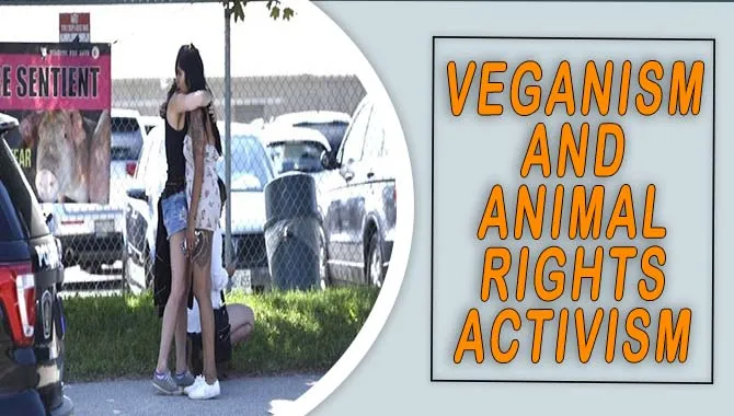 Uncovering The Facts On Veganism And Animal Rights Activism