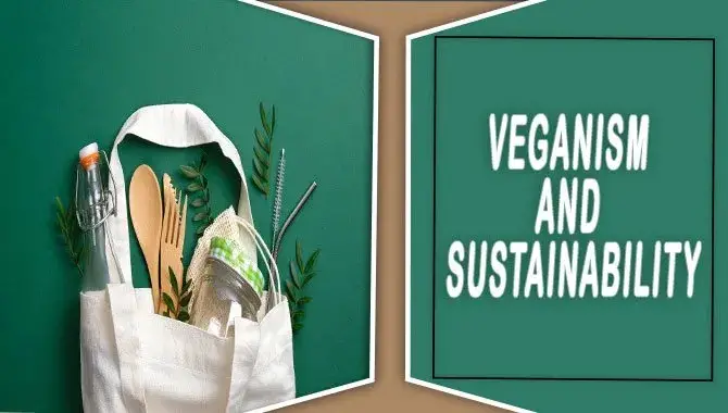 Understanding The Impact Of Veganism And Sustainability