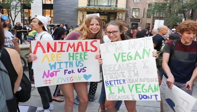 What Is Veganism And Animal Rights Activism?
