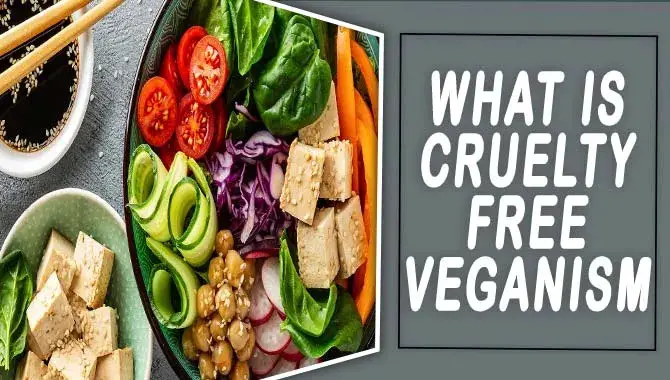 What Is Cruelty-Free Veganism