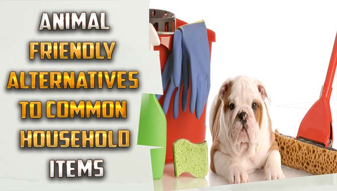 Animal-Friendly Alternatives To Common Household Items