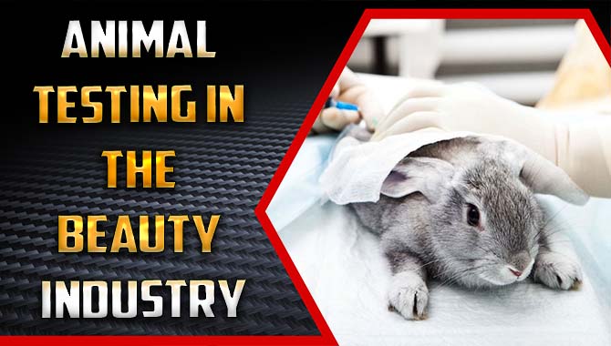 Animal Testing In The Beauty Industry