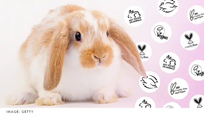 Are Cruelty-Free. But What Does That Label Really Mean?