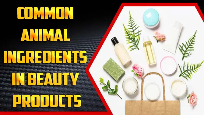Common Animal Ingredients in Beauty Products
