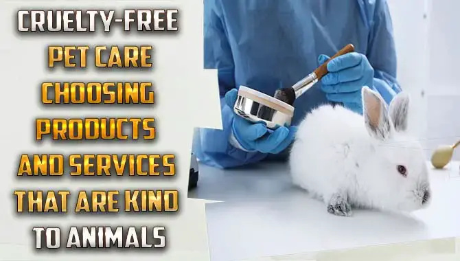 Cruelty-Free Pet Care