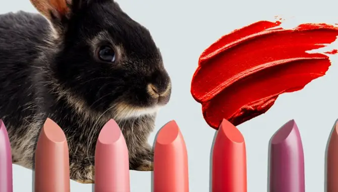 How Can You Make Sure You’re Buying Cruelty-free Pet Care Products? 