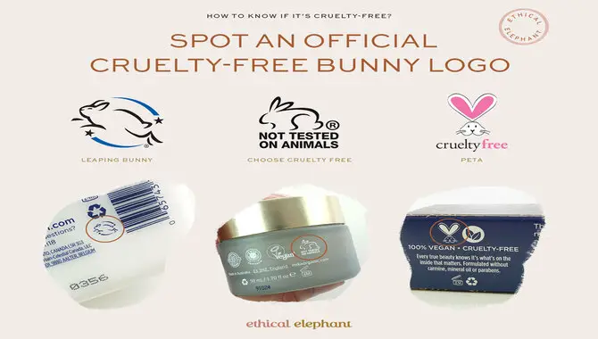 How Can You Tell If A Makeup Product Is Cruelty-free?