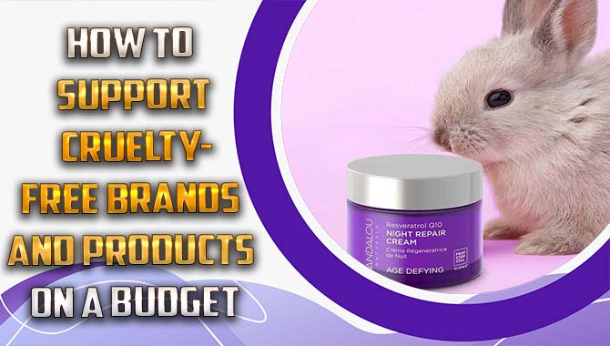How To Support Cruelty-Free Brands And Products On A Budget