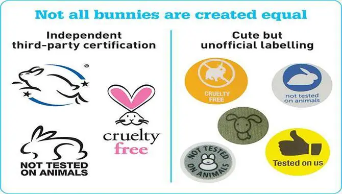 Making The Switch To Cruelty-Free Products