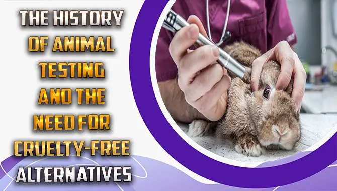 The History Of Animal Testing And The Need For Cruelty-Free Alternatives