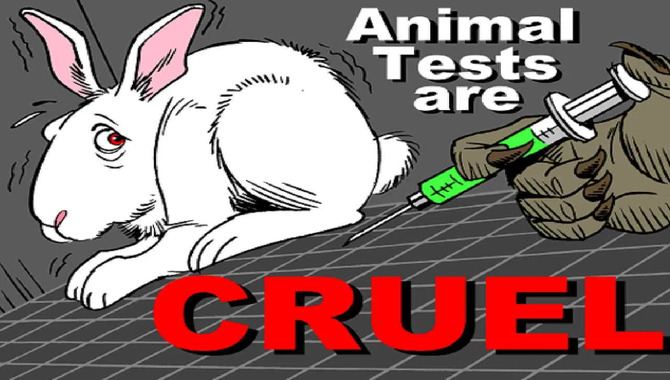 What Are The Current Trends In Cruelty-free Animal-Friendly Products And Practices?