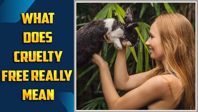 What Does Cruelty-Free Really Mean