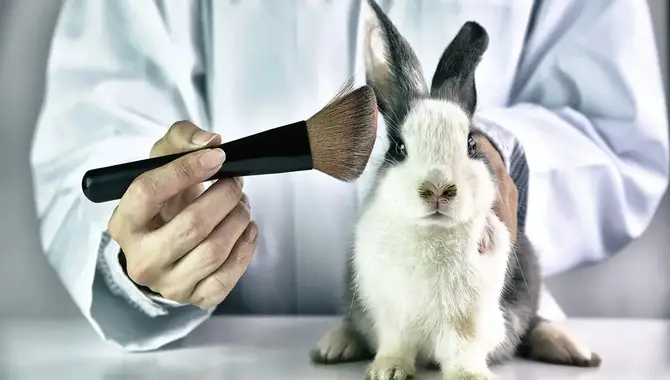 Does Cruelty-Free Really Mean