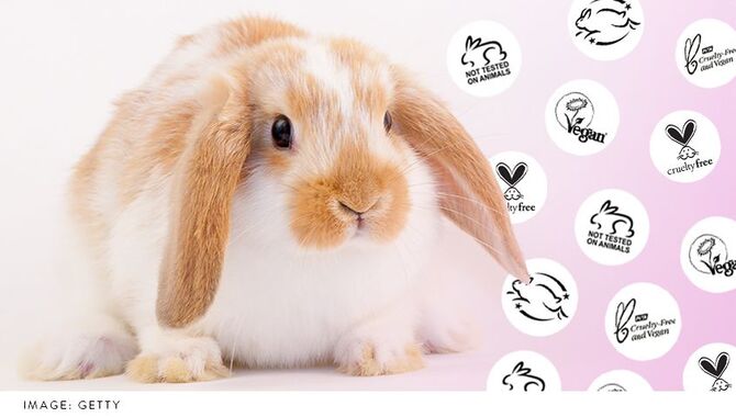 What Is Cruelty-free Pet Care?