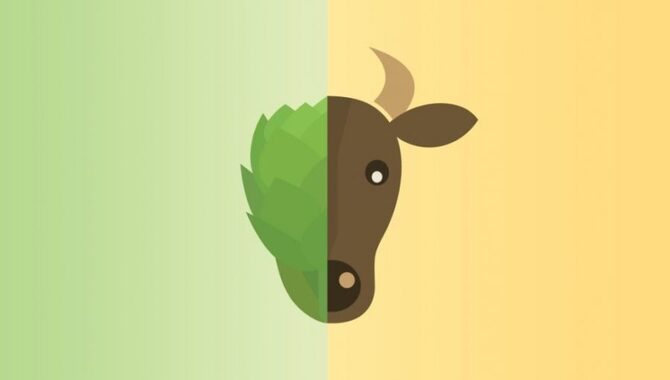 What Is The Connection Between Veganism And The Environment?