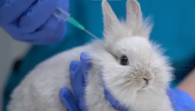 Why Is History Of Animal Testing Still Used Today?