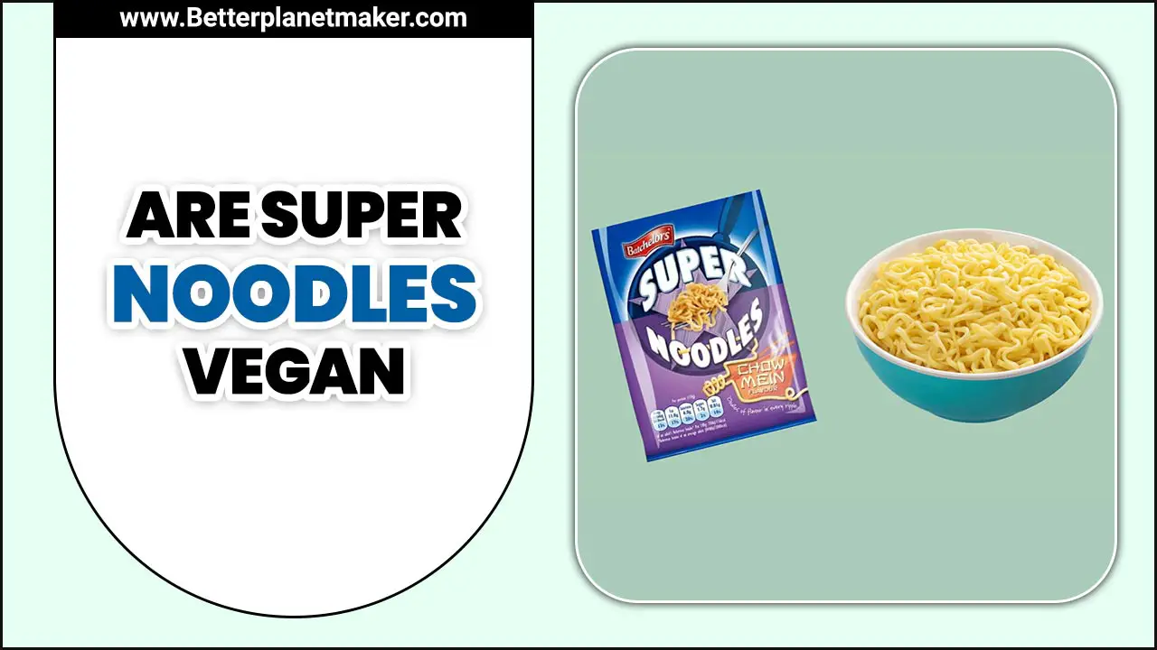 Are Super Noodles Vegan