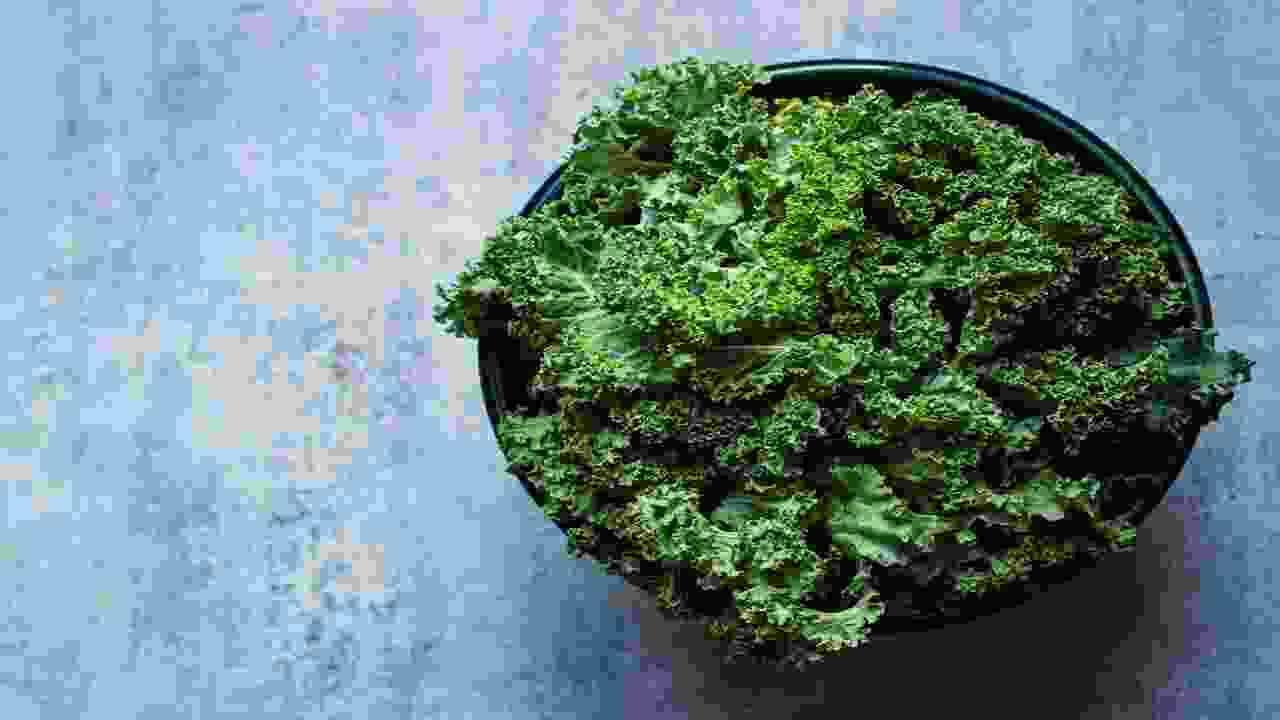 Factors Affecting The Number Of Cups In A Bunch Of Kale