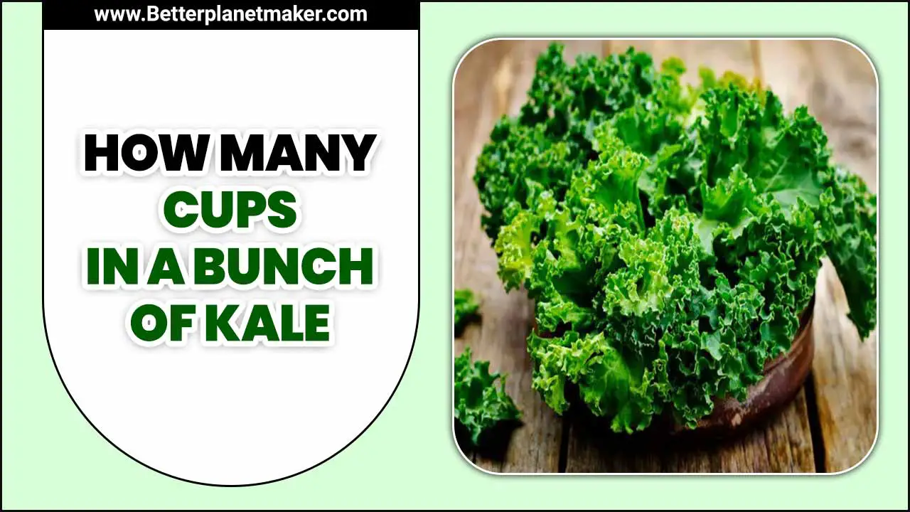 How Many Cups In A Bunch Of Kale