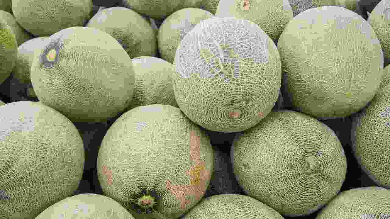 How To Tell If A Cantaloupe Is Unripe