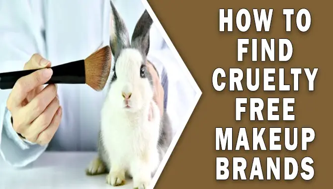 How To Find Cruelty-Free Makeup Brands