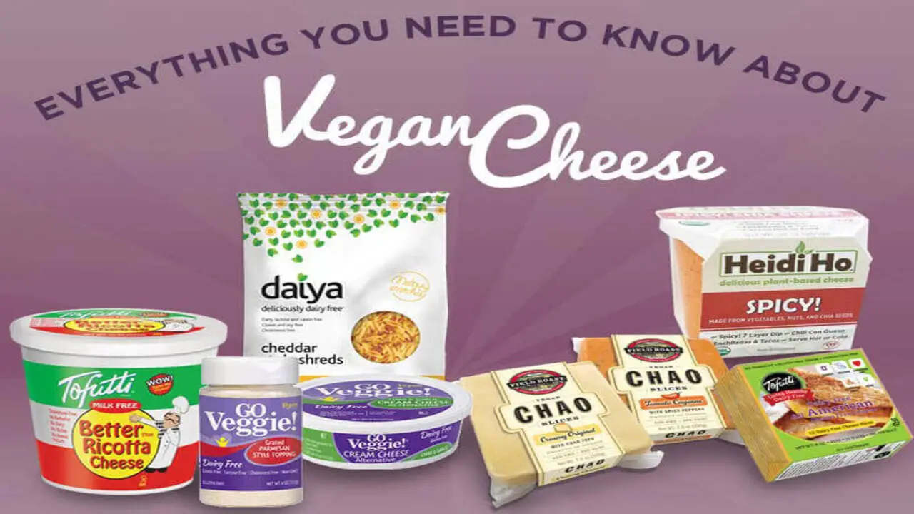 List Of Cheeses For Making Vegan Cheeses And Their Taste