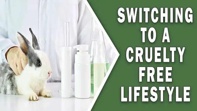 Switching To A Cruelty-Free Lifestyle