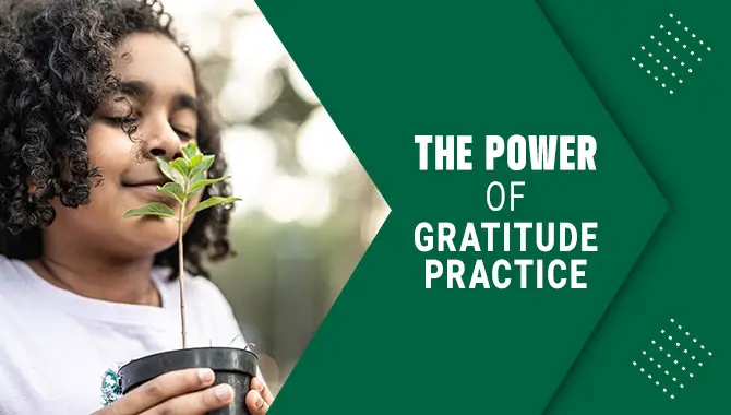 The Power Of Gratitude Practice