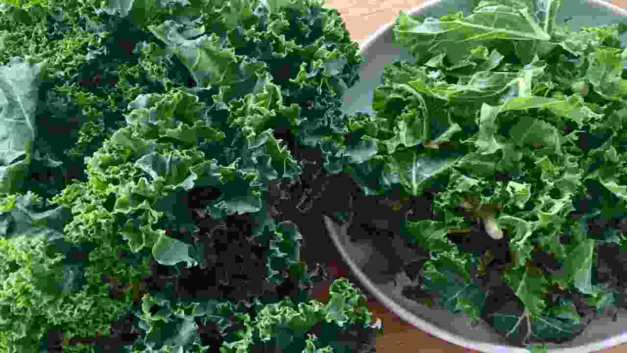 Tips For Accurately Measuring Kale For Recipes