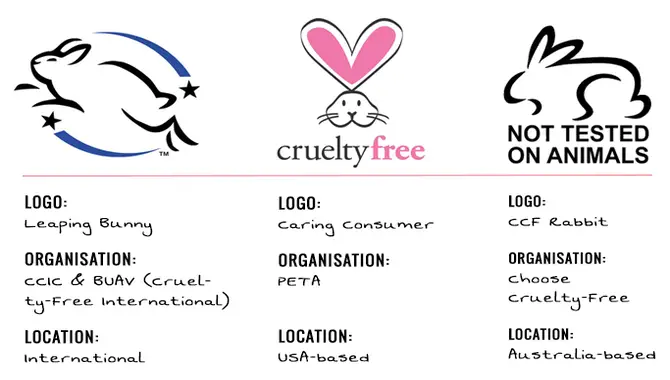 Tips To Go Switching To A Cruelty-Free Lifestyle