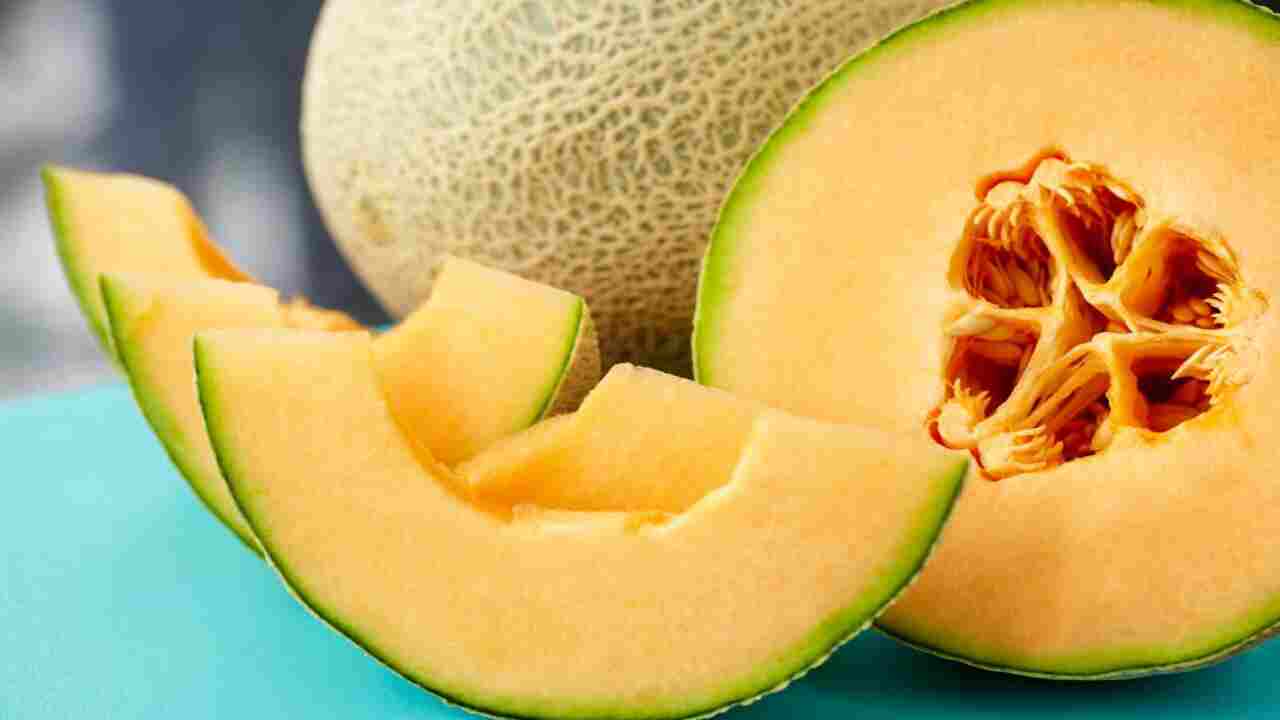 What To Do With Sour Bitter Cantaloupe