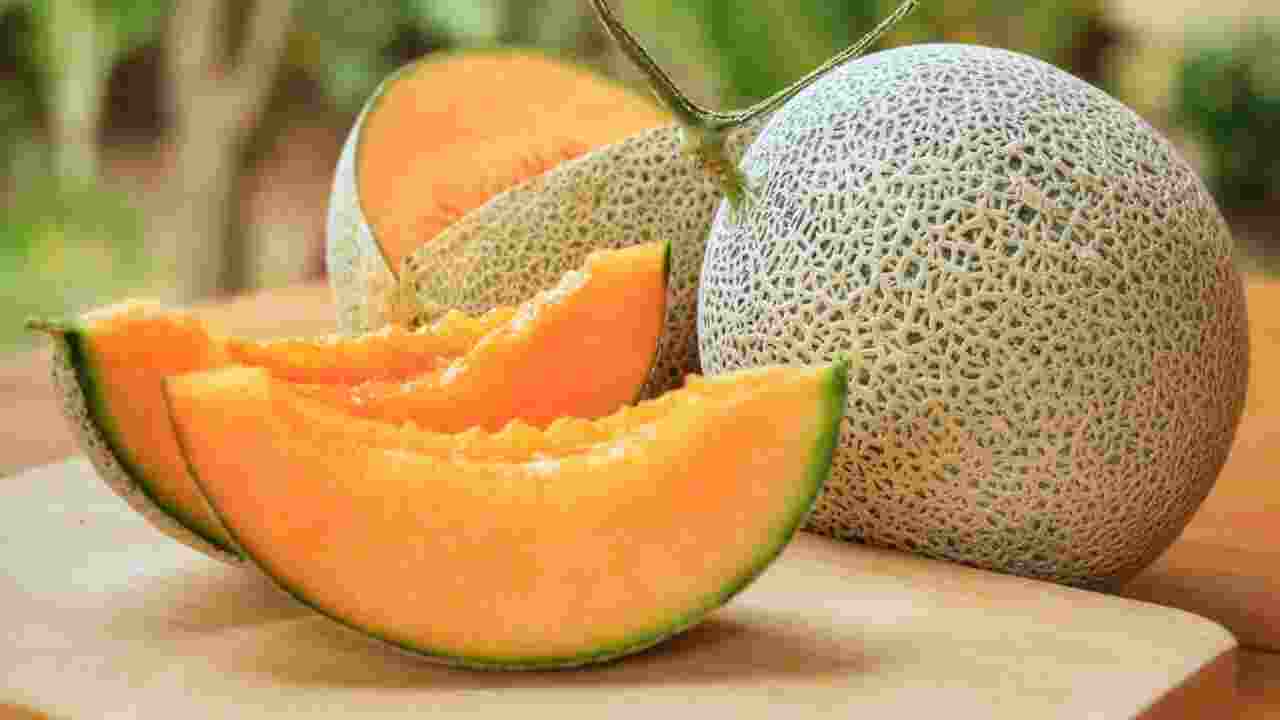 When Should You Not Eat Cantaloupe
