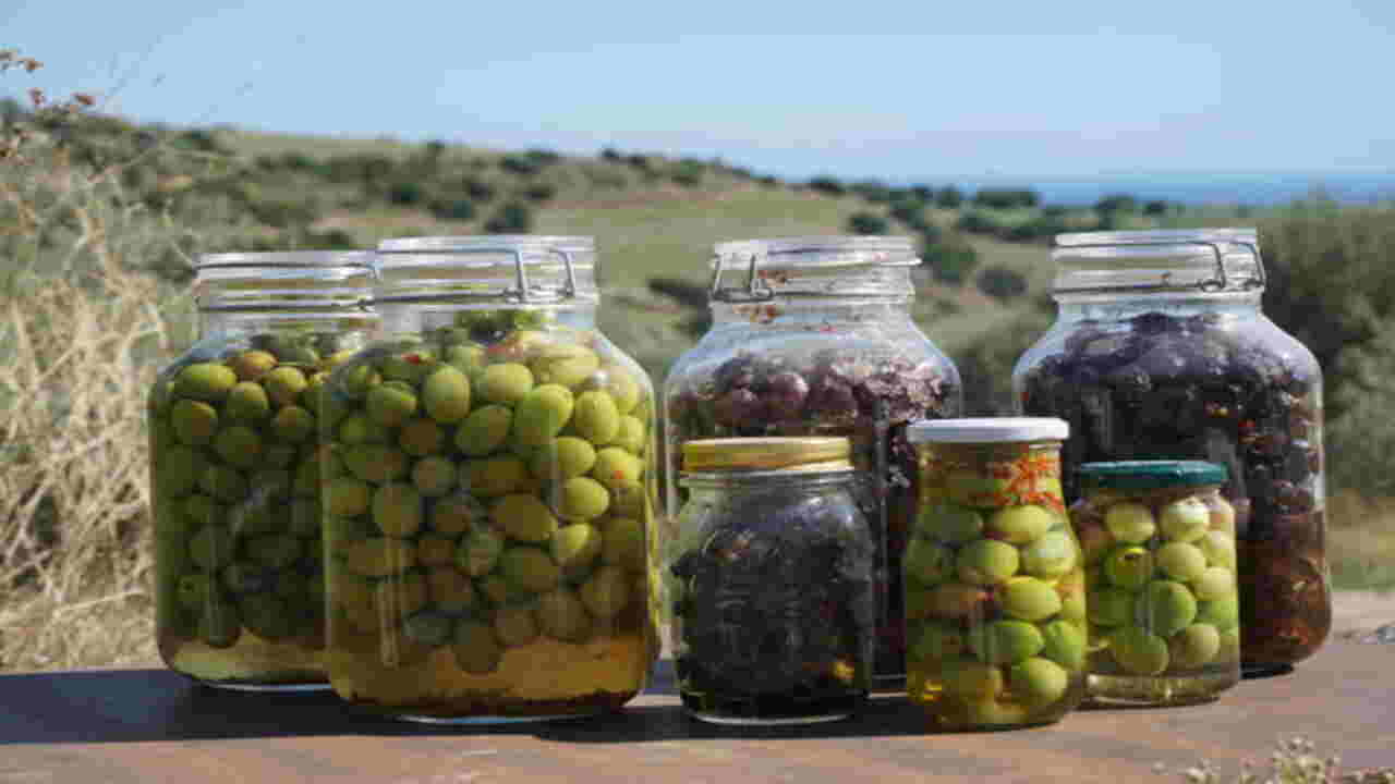 Assessing The Safety And Quality Of Olives With White Spots