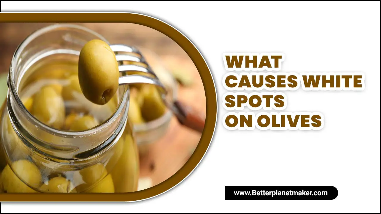What Causes White Spots On Olives