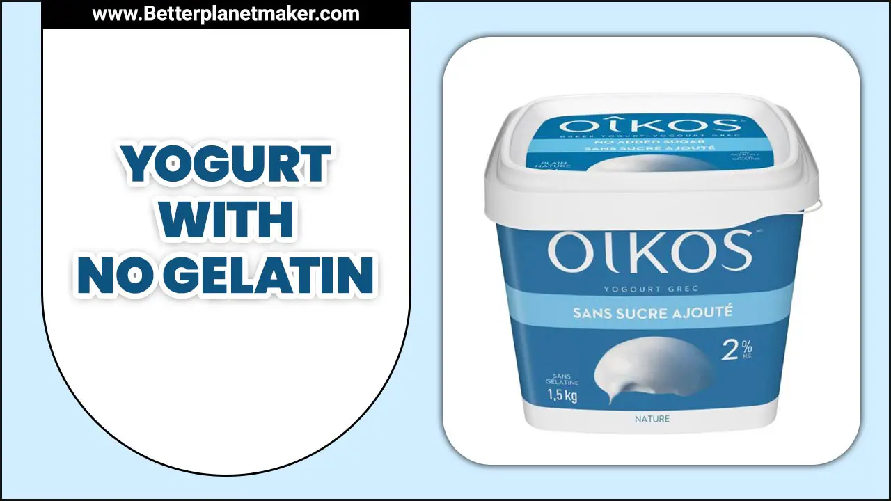 Yogurt With No Gelatin